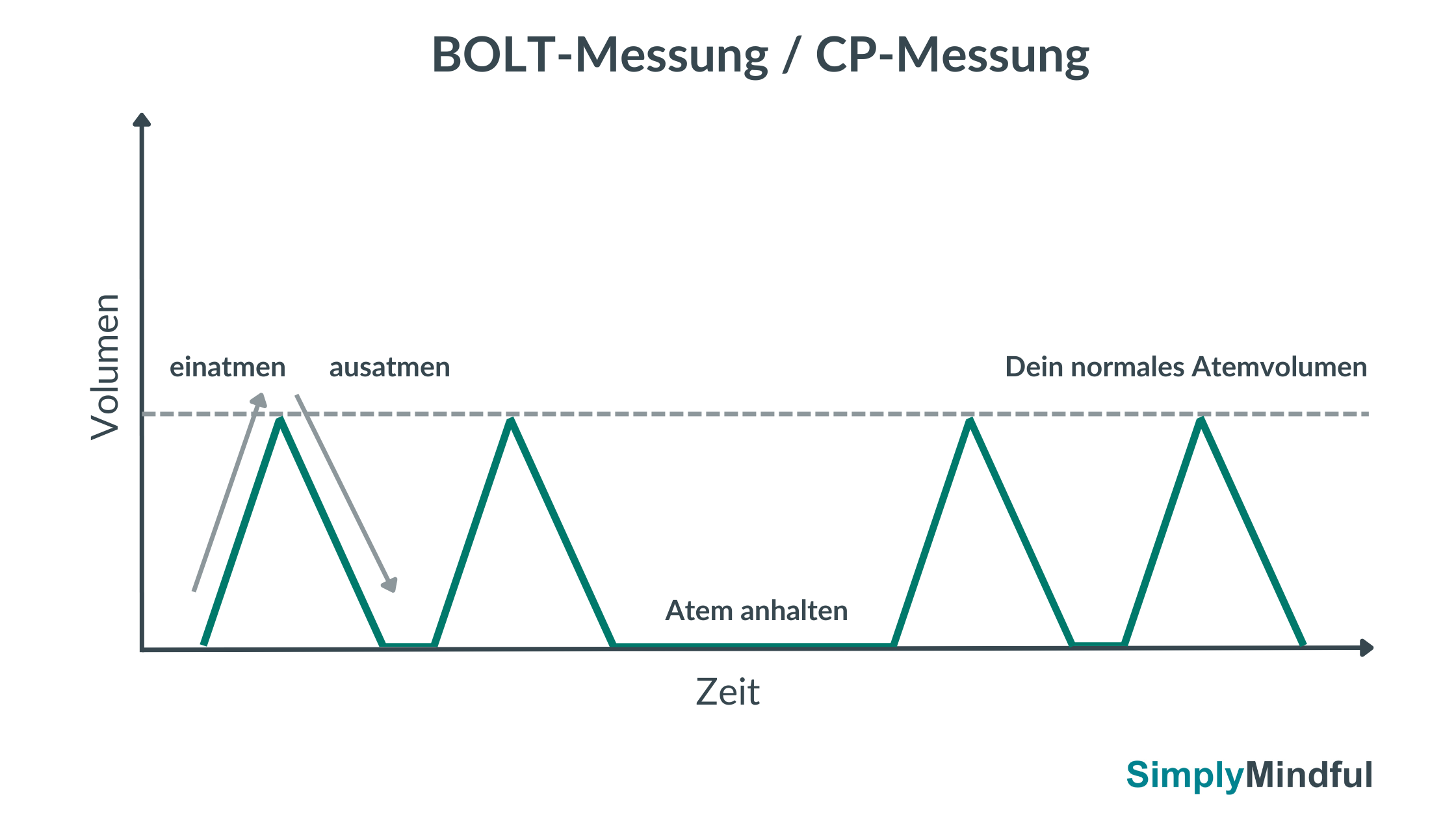 Korrekte Messung der Kontrollpause Atemtest-Bolt-Wert-CP-Wert-Buteyko-Methode