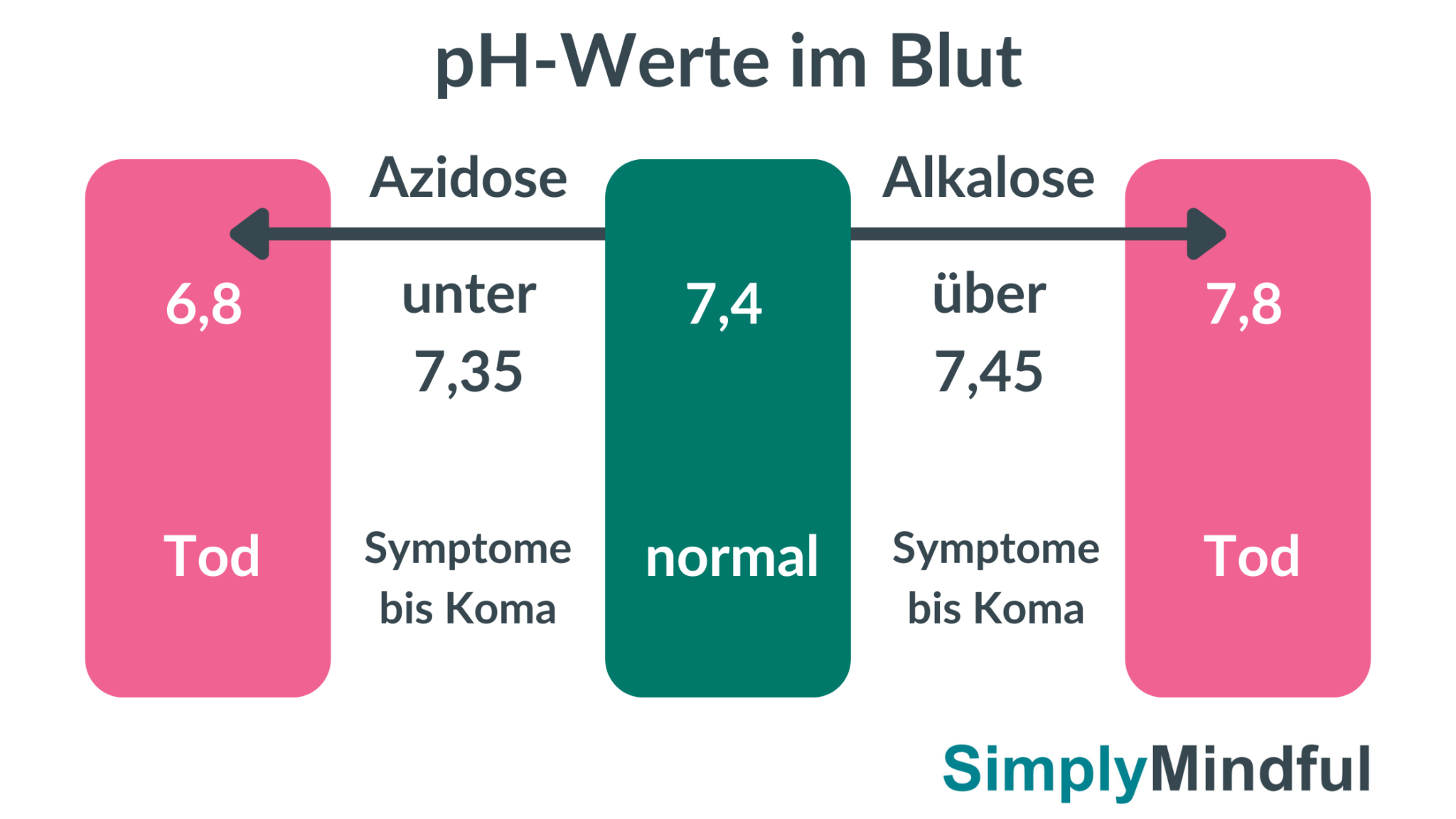 Bohr-Effekt: Wie CO₂ die Sauerstoffaufnahme verbessert und deine